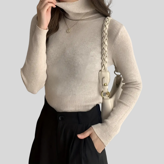 Solid Color Turtleneck Sweater, Casual Long Sleeve Slim Versatile Sweater,